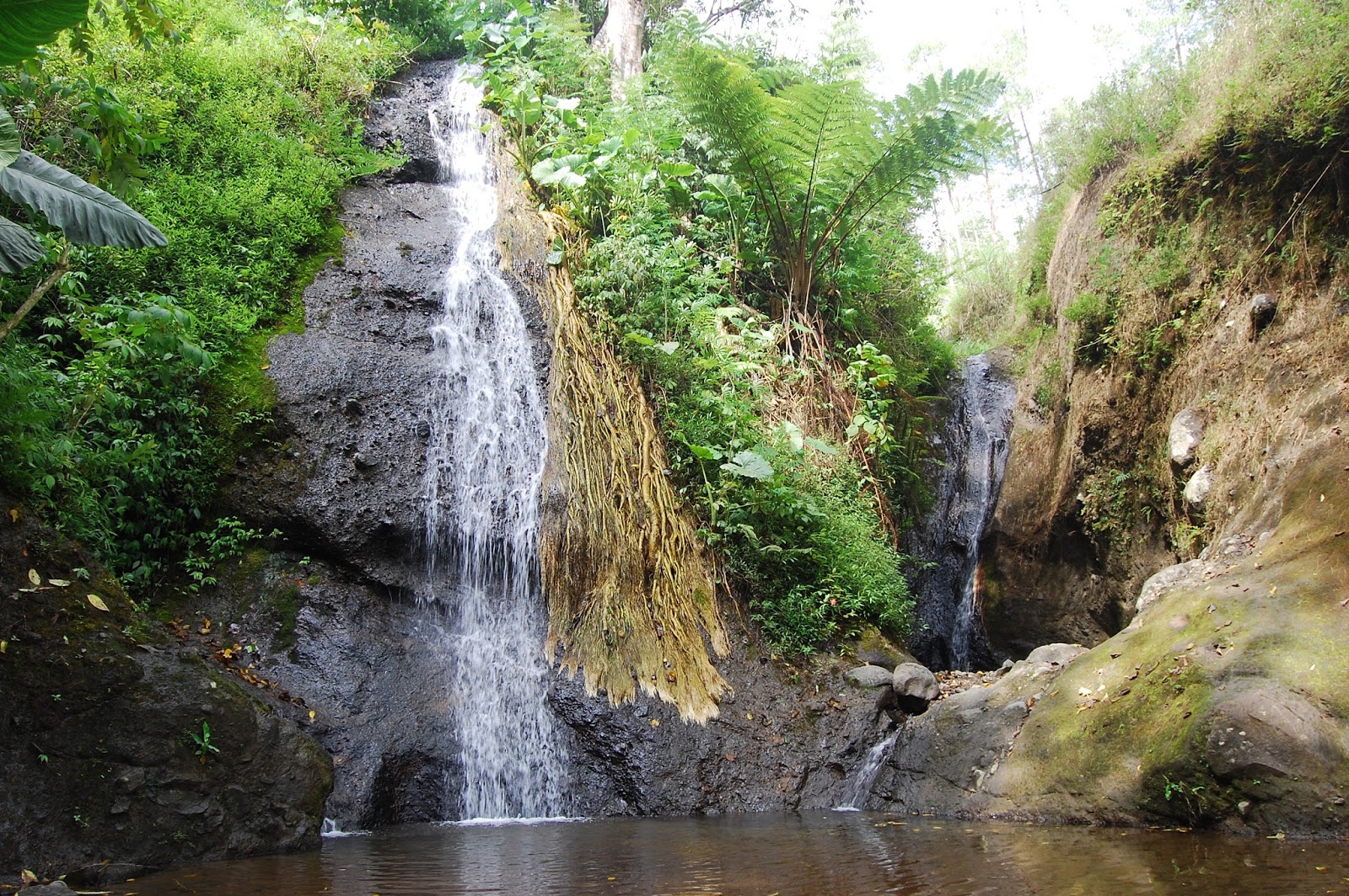 Air Terjun Roro Kuning : Harga Tiket, Foto, Lokasi, Fasilitas dan Spot