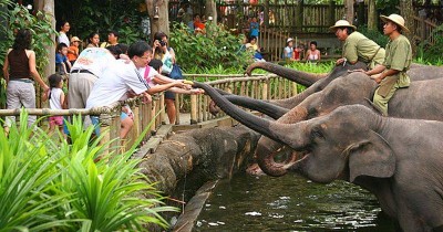 Kebun Binatang Medan : Harga Tiket, Foto, Lokasi, Fasilitas dan Spot