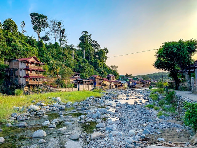 Bukit Lawang, Rekreasi Sambil Melihat Berbagai Macam Flora dan Fauna - Tempat.me