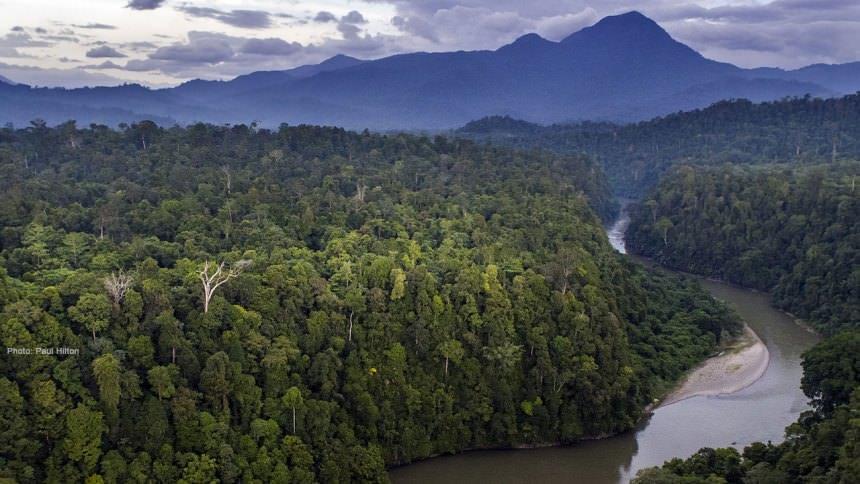 Taman Nasional Gunung Leuser Berwisata Sambil Melihat 