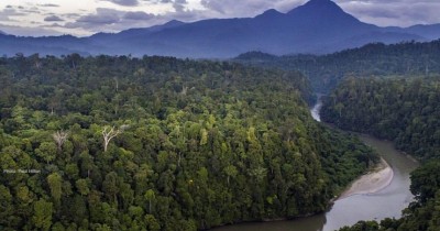 Taman Nasional Gunung Leuser : Harga Tiket, Foto, Lokasi, Fasilitas dan Spot