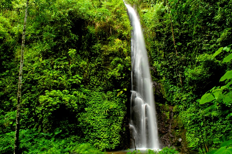 32 Tempat Wisata Menarik dan Wajib Dikunjungi di Madiun