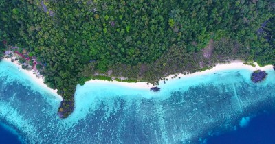 Pulau Labengki : Fasilitas, Rute, Jam Buka, Harga Tiket dan Daya Tarik