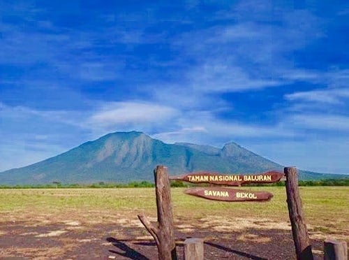 Taman Nasional Baluran : Harga Tiket, Foto, Lokasi, Fasilitas dan Spot