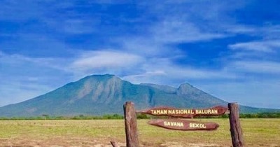 Taman Nasional Baluran : Harga Tiket, Foto, Lokasi, Fasilitas dan Spot