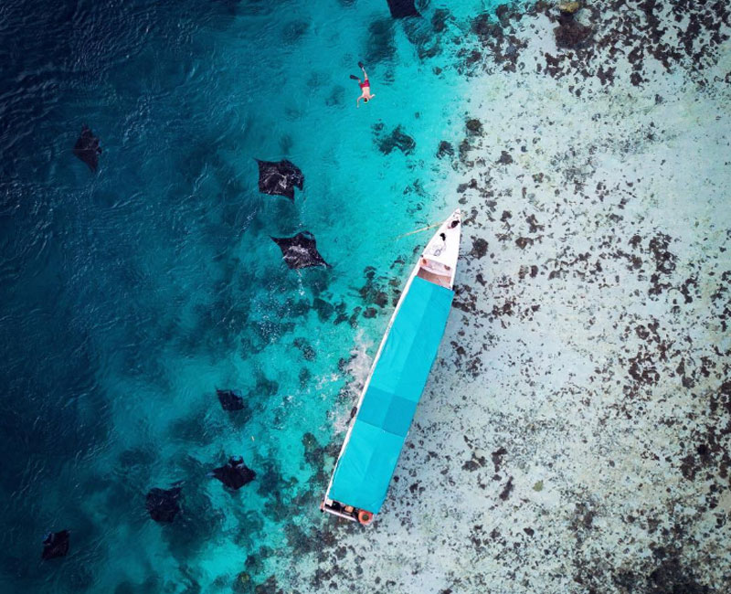Manta Point Labuan Bajo : Fasilitas, Rute, Jam Buka, Harga