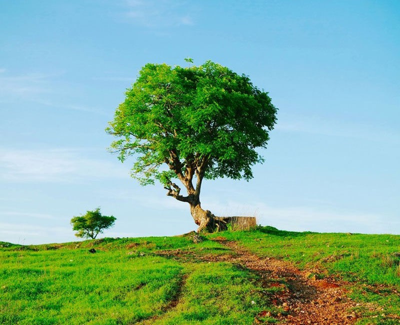 Bukit Cinta : Harga Tiket, Foto, Lokasi, Fasilitas dan Spot