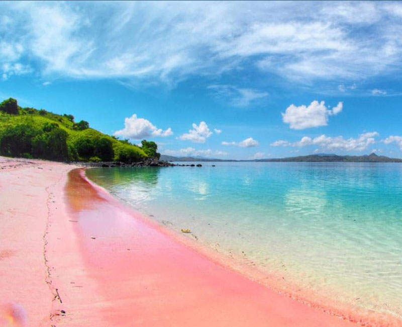 Pantai Pink : Fasilitas, Rute, Jam Buka, Harga Tiket Dan Daya Tarik - Tempat.me