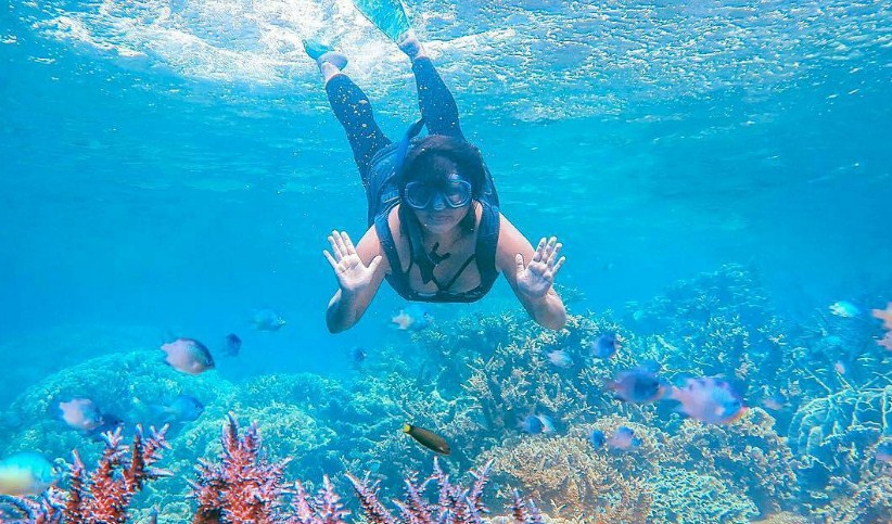 Pulau Menjangan : Harga Tiket, Foto, Lokasi, Fasilitas dan Spot