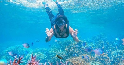 Pulau Menjangan : Harga Tiket, Foto, Lokasi, Fasilitas dan Spot