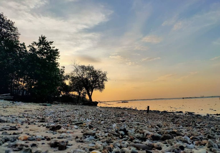 Pulau Cangkir : Harga Tiket, Foto, Lokasi, Fasilitas dan Spot