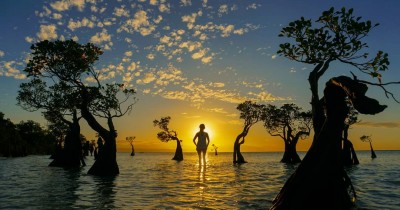 Pantai Walakiri : Harga Tiket, Foto, Lokasi, Fasilitas dan Spot