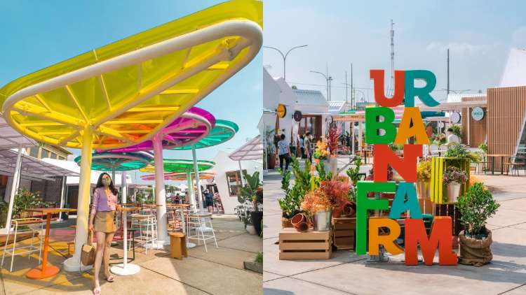 Urban Farm PIK Jakarta: Info Lokasi, Daya Tarik dan Fasilitasnya