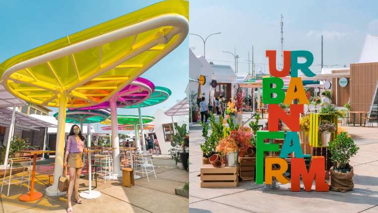 Urban Farm PIK Jakarta: Info Lokasi, Daya Tarik dan Fasilitasnya