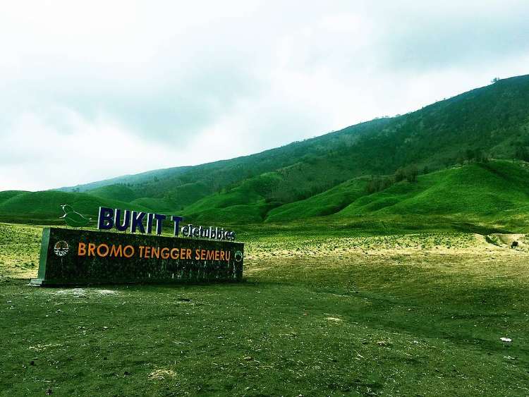 Bukit Teletubbies Bromo, Ini Daya Tarik dan HTM Terbarunya