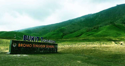 Bukit Teletubbies Bromo, Ini Daya Tarik dan HTM Terbarunya