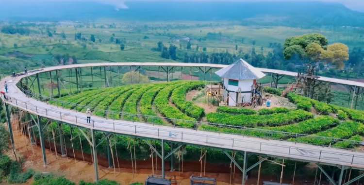 Nimo Highland Bandung: Tiket Terbaru 2023, Lokasi & Jam Buka