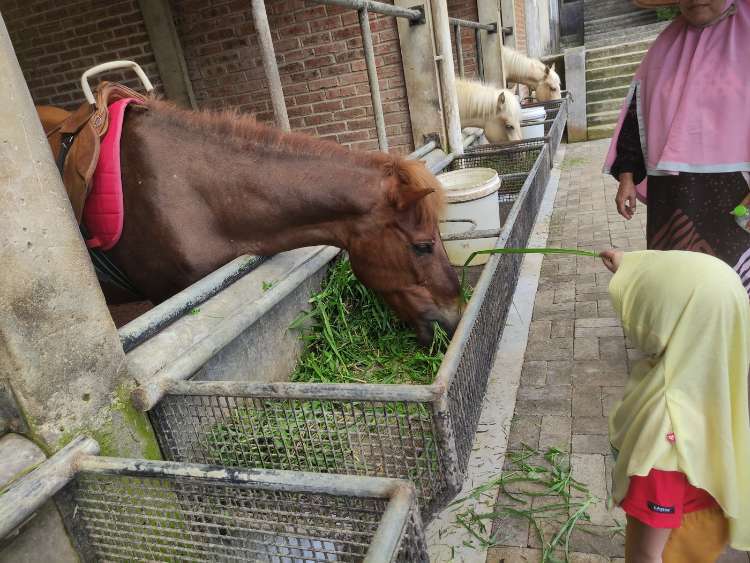 Kuntum Farmfield, Spot Agrowisata dan Edukasi di Bogor