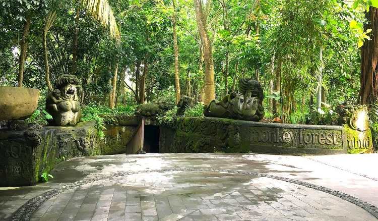 Monkey Forest Ubud: HTM, Lokasi, Fasilitas dan Jam Buka Terbaru