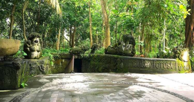 Monkey Forest Ubud: HTM, Lokasi, Fasilitas dan Jam Buka Terbaru