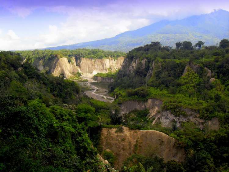 Ngarai Sianok: Harga Tiket Masuk, Lokasi, Daya Tarik & Fasilitas