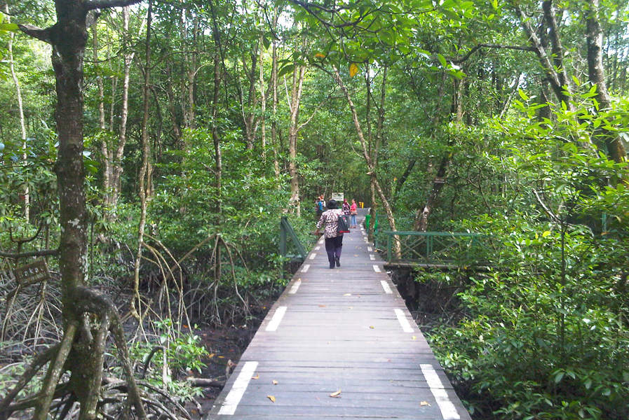 Kuesioner Tentang Terkait Mangrove Sebagai Tempat Wisata