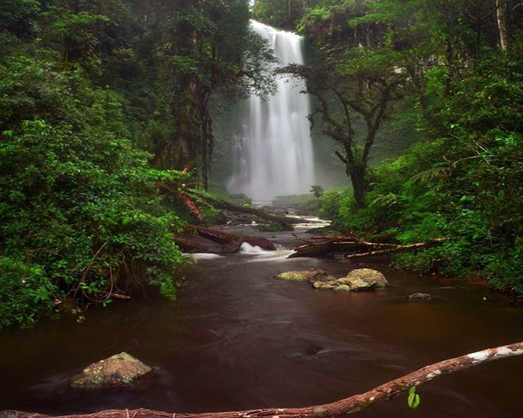 Air Terjun Renah Pemetik