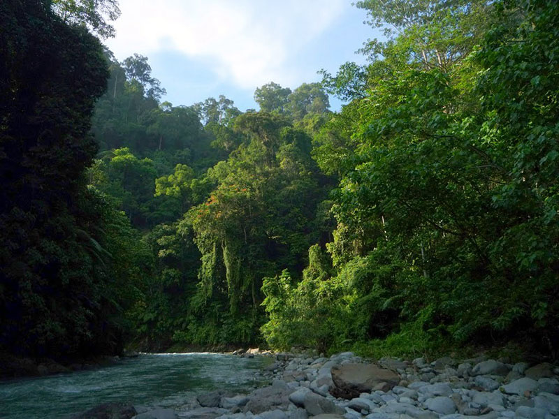 Taman Nasional Gunung Leuser