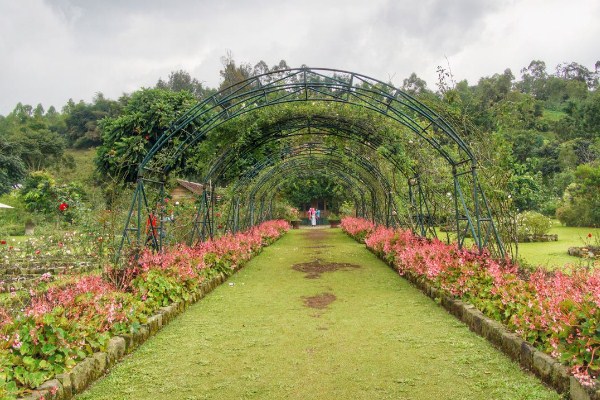 Kebun%20Mawar%20Situhapa.jpg