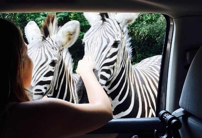 safari water park kabupaten bogor jawa barat