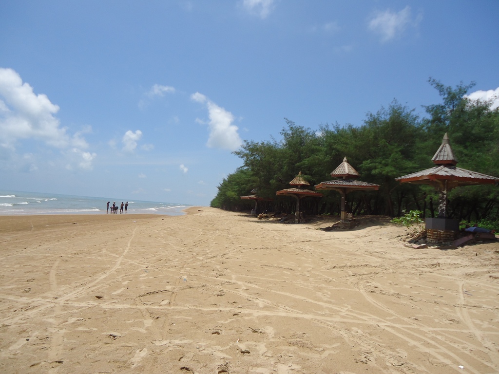 Pantai Lombang, Berwisata di Bawah Asrinya Cemara Udang