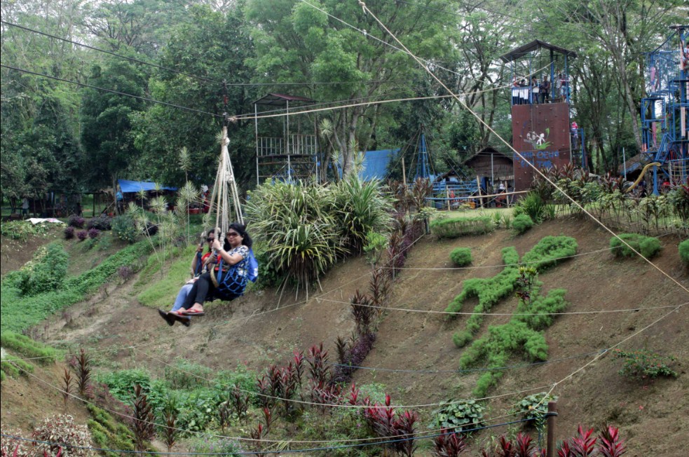 Kebun Binatang Medan, Pesona Wisata Alam dengan Berbagai