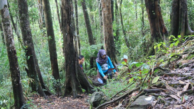 Cagar Alam Sibolangit, Rekreasi Sambil Menjelajahi Hutan