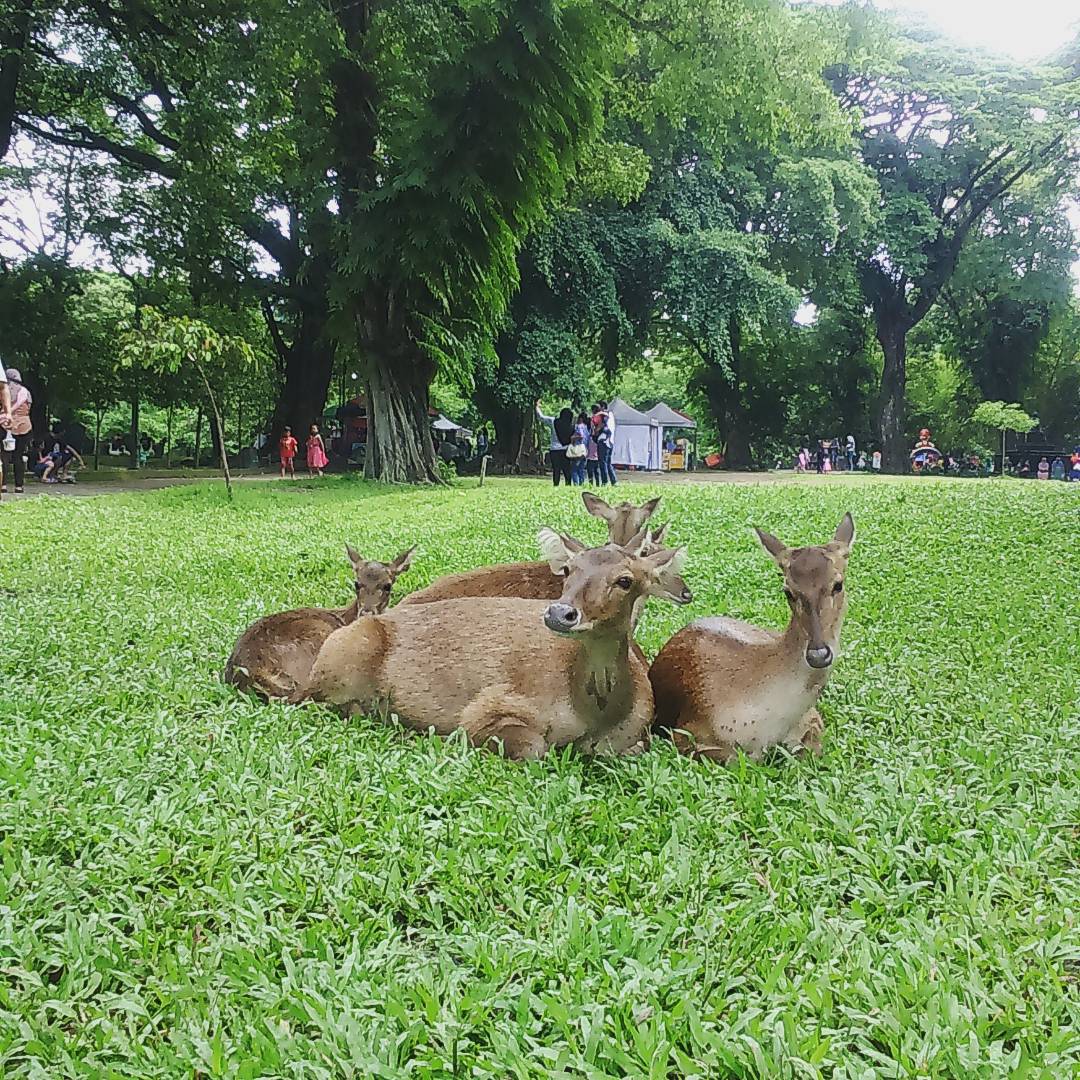 Taman Balekambang Manahan