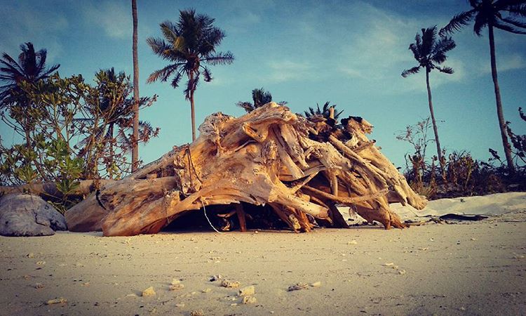 Pantai Liwutongkidi