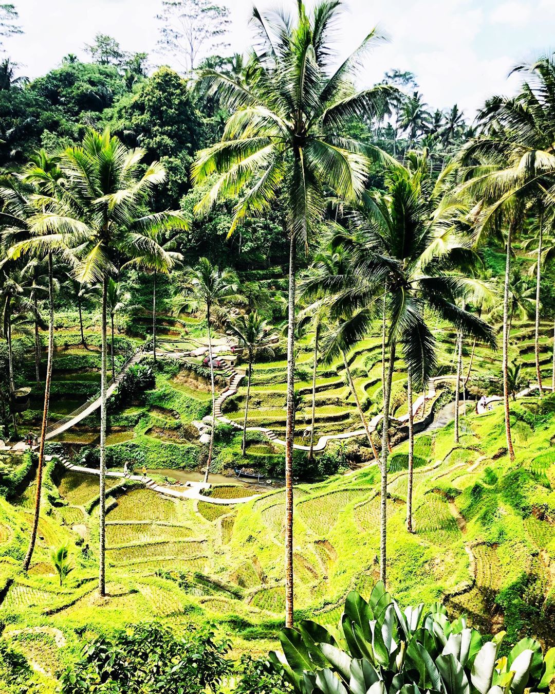 Ubud