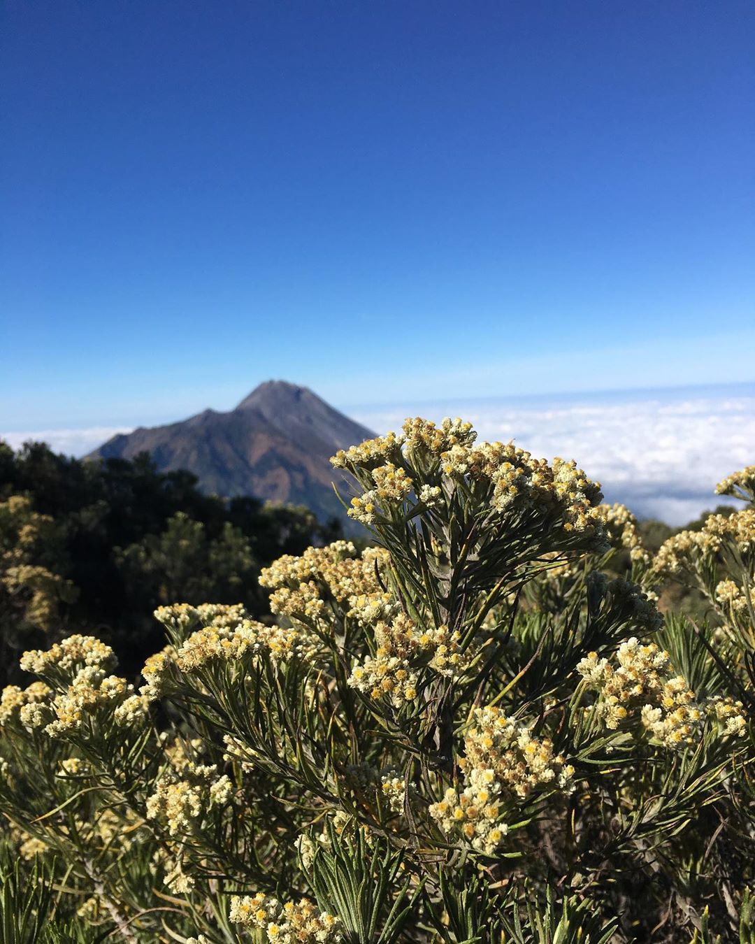 Gunung Merbabu