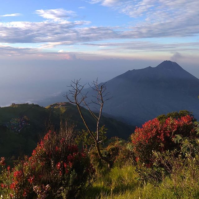 Gunung Merbabu