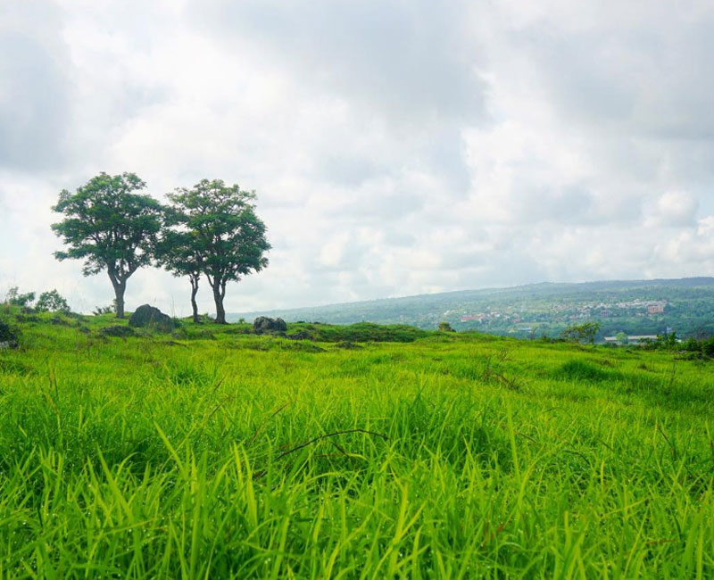 Bukit Cinta