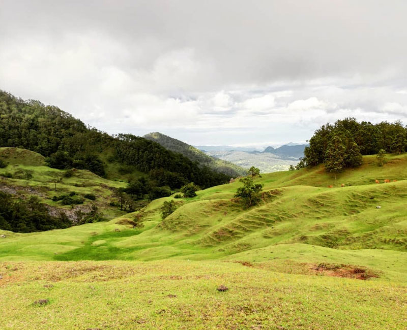 Gunung Mutis