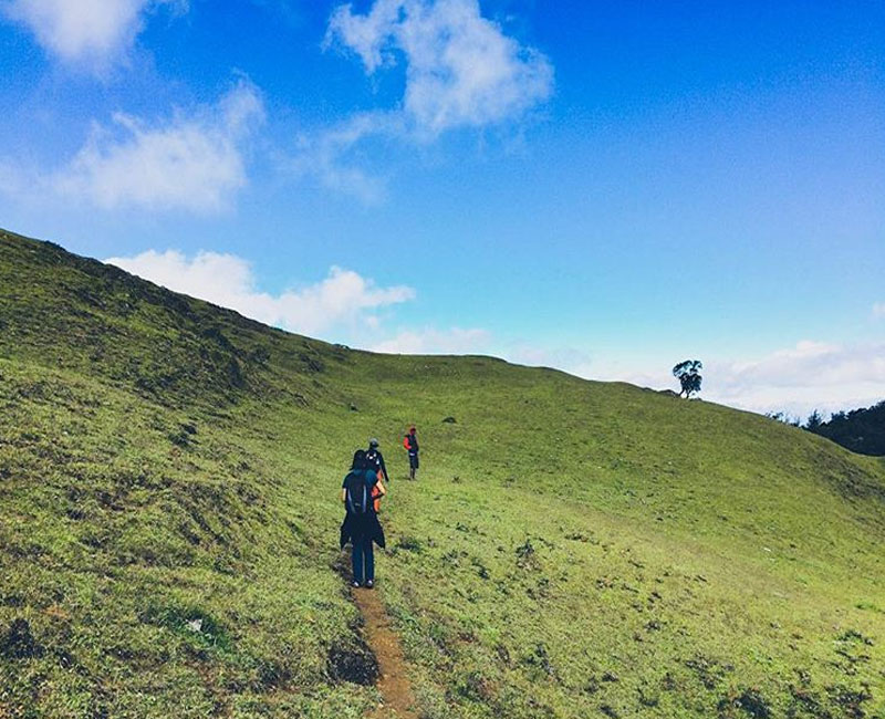 Gunung Mutis