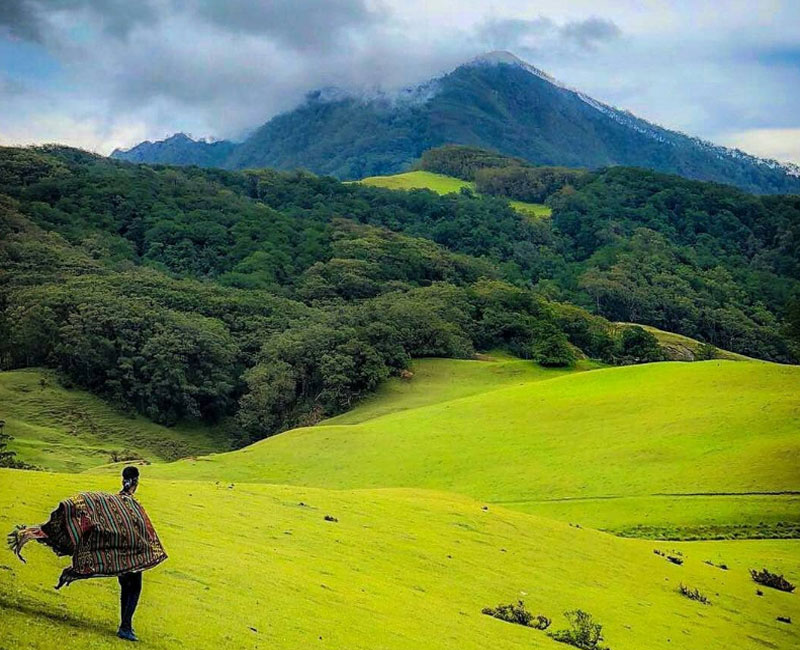 Gunung Mutis Fasilitas Rute Jam Buka Harga Tiket dan 