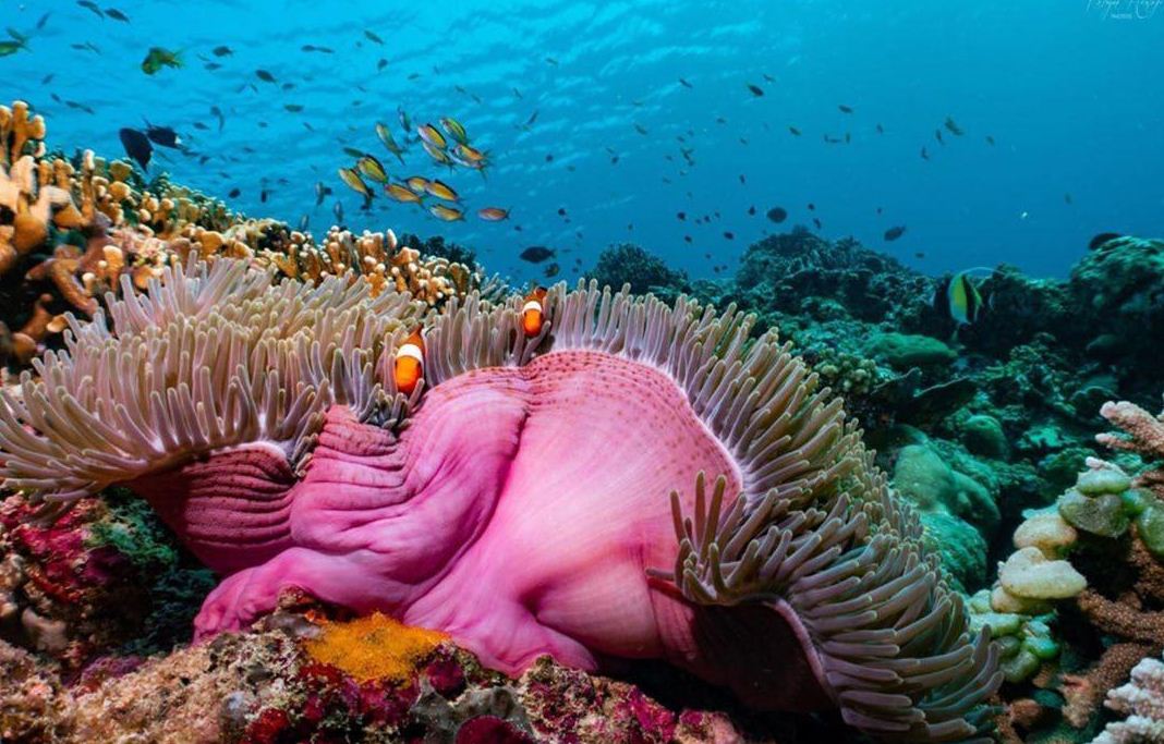 Kepulauan Gili