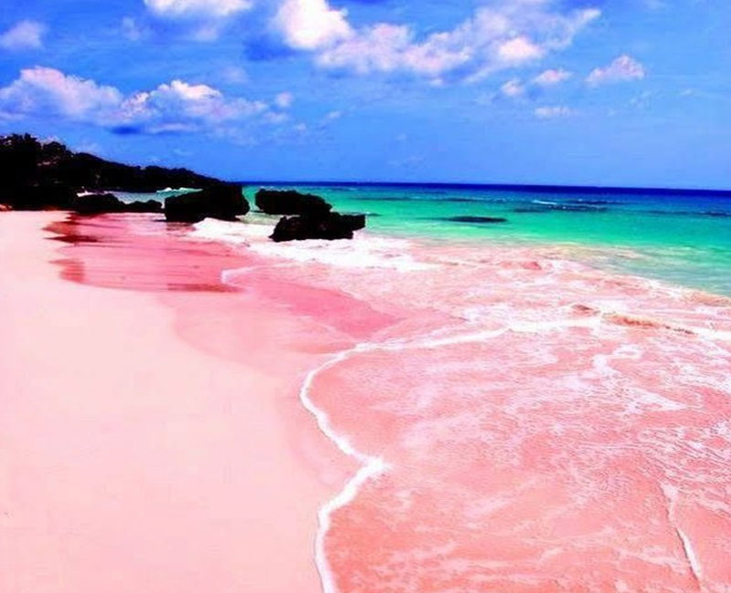  Pantai  Pink  Fasilitas Rute Jam Buka Harga Tiket dan 