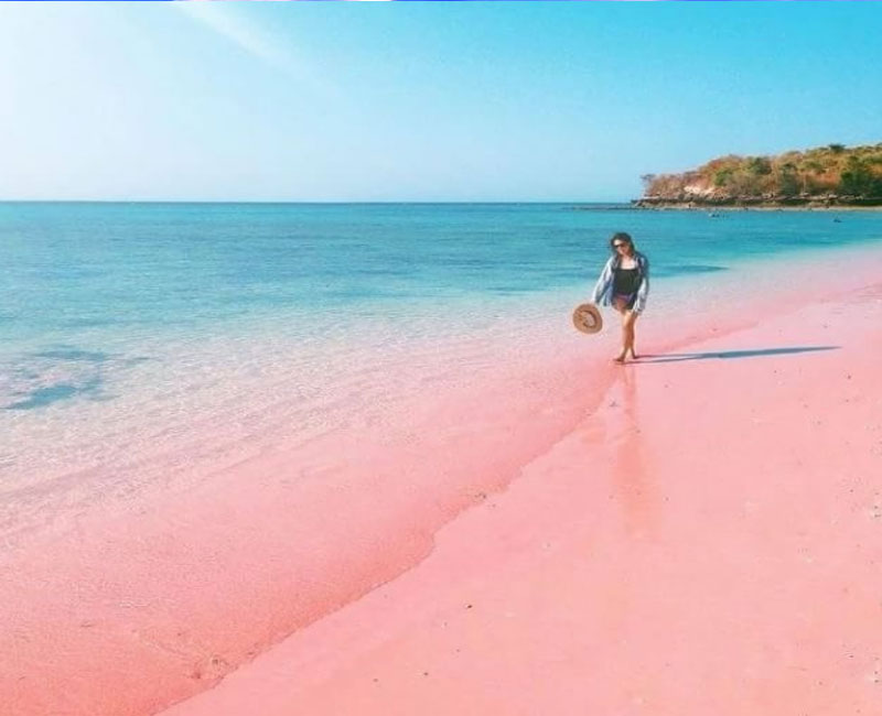 Pantai Pink