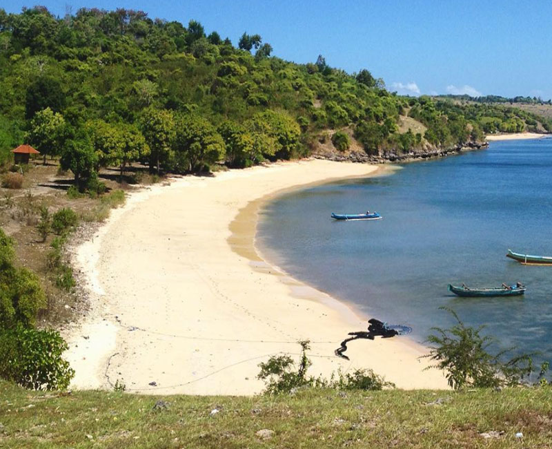 Pantai Pink