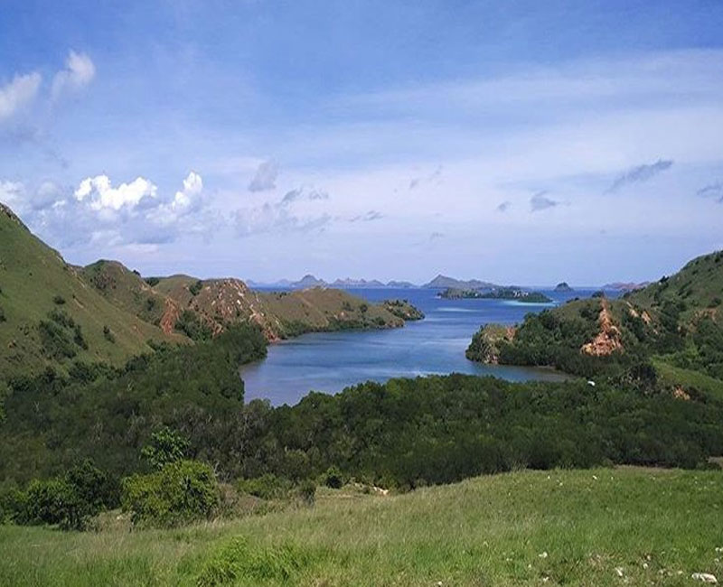 Pulau Rinca