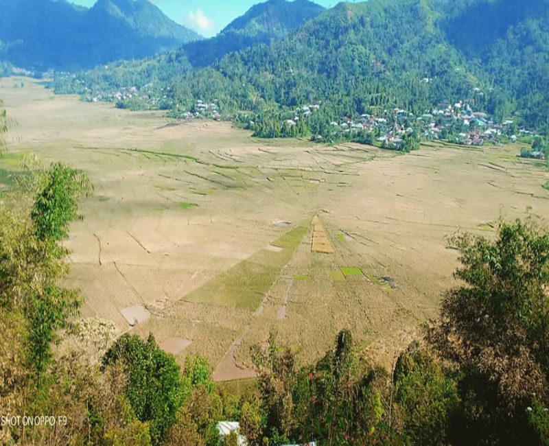 Sawah Lodok