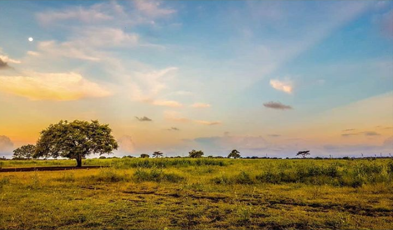 Taman Nasional Baluran