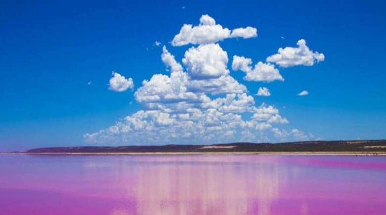 Asal usul warna Pink Pada Danau Hillier